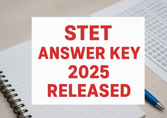 STET Answer Key 2025 PDF Download with objection window open